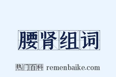 腰肾组词是什么意思的图片
